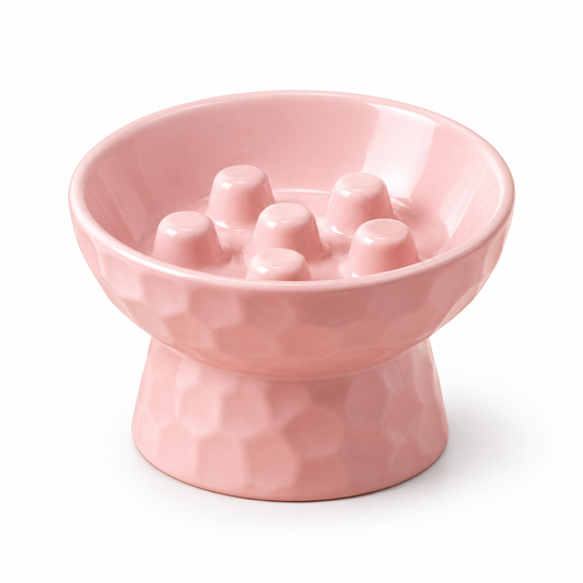 Elevated Ceramic Slow Feeder Pet Bowl