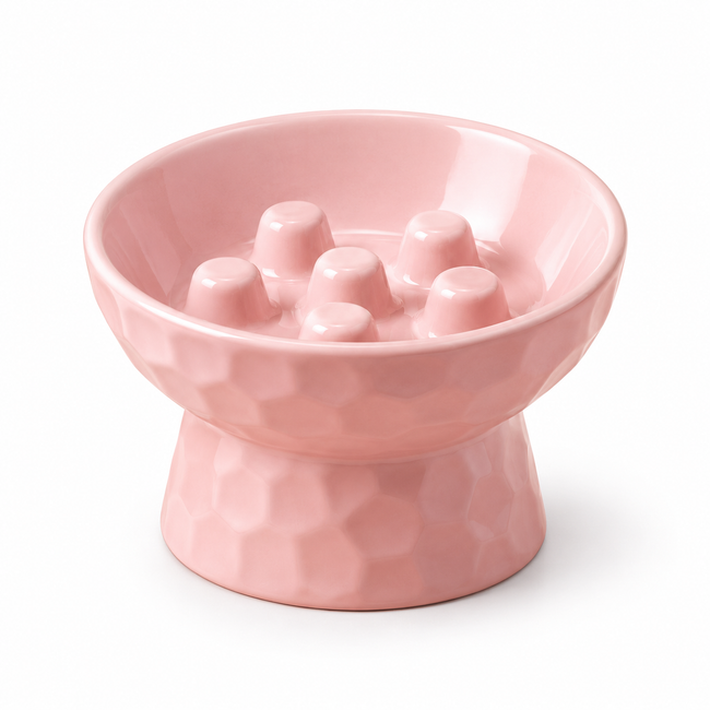 Elevated Ceramic Slow Feeder Pet Bowl