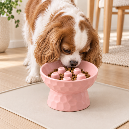 Elevated Ceramic Slow Feeder Pet Bowl